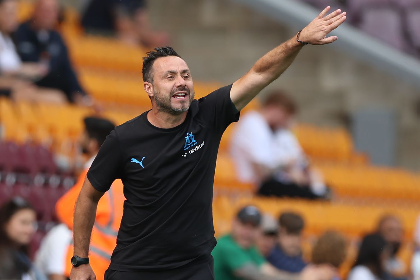 Фанаты «Тоттенхэма» осудили назначение Де Дзерби из-за поддержки Гринвуда